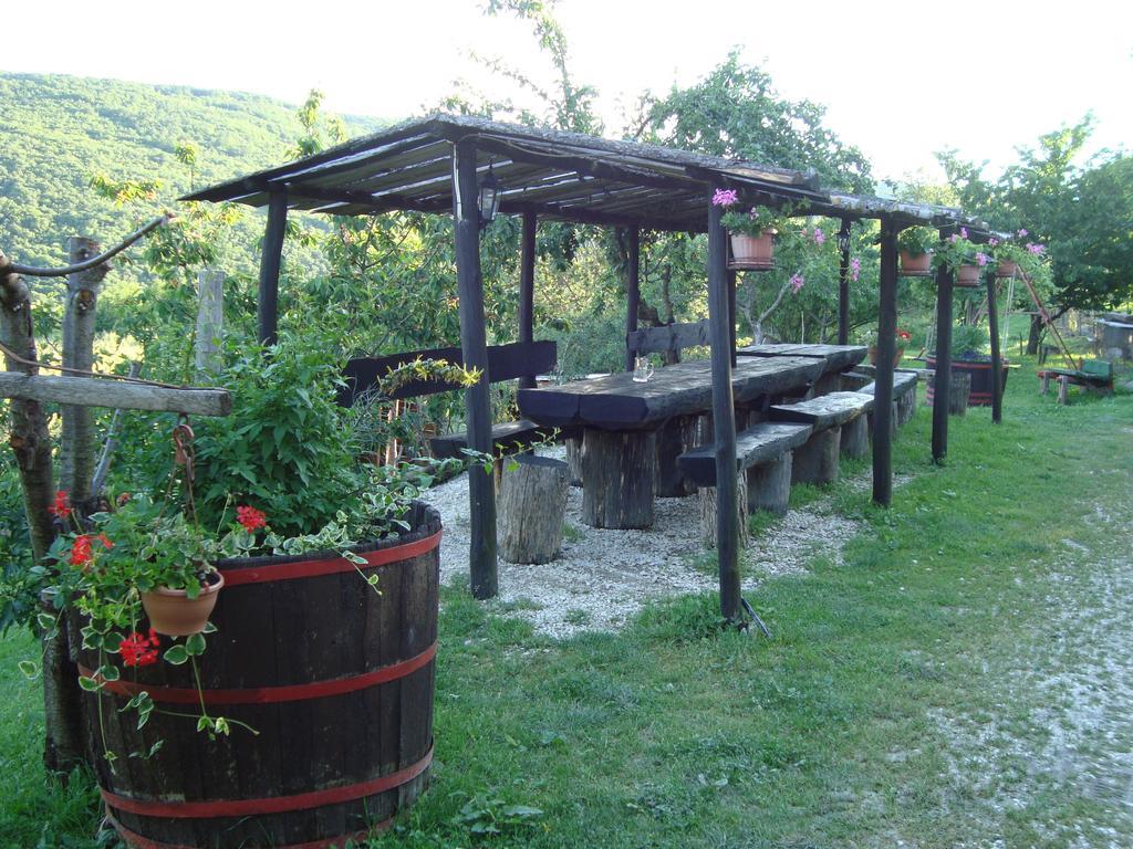 Agroturizam Toni Lägenhet Motovun Rum bild